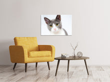 Load image into Gallery viewer, Canvas print Noble cat