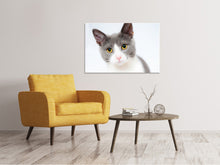 Load image into Gallery viewer, Canvas print Noble cat
