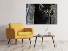 Load image into Gallery viewer, Canvas print Cats child