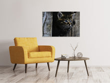 Load image into Gallery viewer, Canvas print Cats child