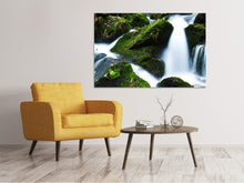 Load image into Gallery viewer, Canvas print Wild waterfall