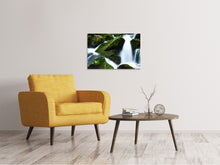 Load image into Gallery viewer, Canvas print Wild waterfall