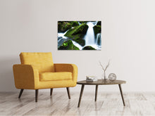 Load image into Gallery viewer, Canvas print Wild waterfall