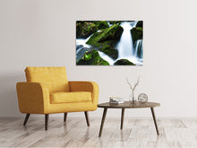 Load image into Gallery viewer, Canvas print Wild waterfall