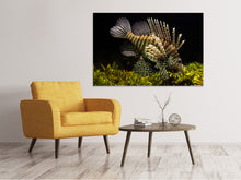 Load image into Gallery viewer, Canvas print Lion fish