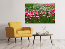 Load image into Gallery viewer, Canvas print Wild tulip field