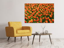 Load image into Gallery viewer, Canvas print Tulip field in orange