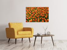 Load image into Gallery viewer, Canvas print Tulip field in orange