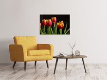 Load image into Gallery viewer, Canvas print Colorful tulips