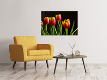 Load image into Gallery viewer, Canvas print Colorful tulips