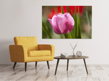 Load image into Gallery viewer, Canvas print Tulip pretty in pink
