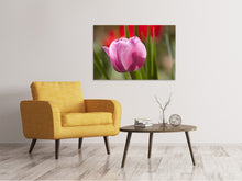 Load image into Gallery viewer, Canvas print Tulip pretty in pink
