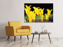 Load image into Gallery viewer, Canvas print Yellow tulips in the nature