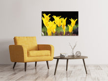 Load image into Gallery viewer, Canvas print Yellow tulips in the nature