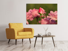 Load image into Gallery viewer, Canvas print The rosebud