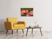 Load image into Gallery viewer, Canvas print The rosebud