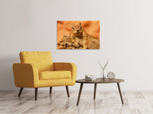 Load image into Gallery viewer, Canvas print Sweet squirrel