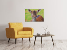 Load image into Gallery viewer, Canvas print Sweet deer