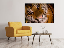 Load image into Gallery viewer, Canvas print Tiger face
