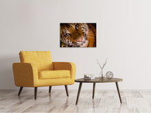 Load image into Gallery viewer, Canvas print Tiger face