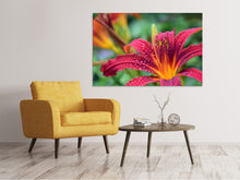 Load image into Gallery viewer, Canvas print Lily flower in pink XL