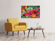 Load image into Gallery viewer, Canvas print Lily flower in pink XL