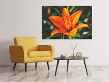 Load image into Gallery viewer, Canvas print Lilies blossom in orange XL