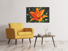 Load image into Gallery viewer, Canvas print Lilies blossom in orange XL