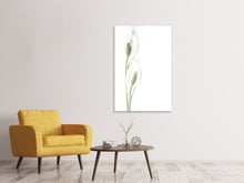 Load image into Gallery viewer, Canvas print Lily seed pods