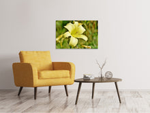 Load image into Gallery viewer, Canvas print Lilies blossom in yellow