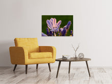 Load image into Gallery viewer, Canvas print Ornamental lilies with morning dew