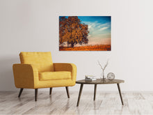 Load image into Gallery viewer, Canvas print The nut Tree