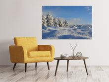Load image into Gallery viewer, Canvas print Beautiful snow landscape