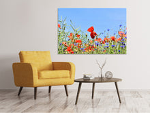 Load image into Gallery viewer, Canvas print The poppy in the flower meadow