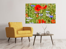 Load image into Gallery viewer, Canvas print The wild poppy XL