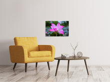 Load image into Gallery viewer, Canvas print Beautiful lotus
