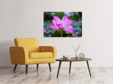 Load image into Gallery viewer, Canvas print Beautiful lotus