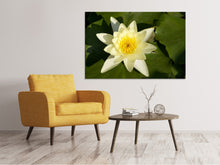 Load image into Gallery viewer, Canvas print The water lily in yellow
