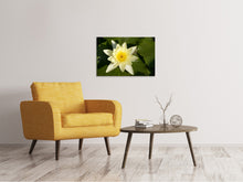 Load image into Gallery viewer, Canvas print The water lily in yellow
