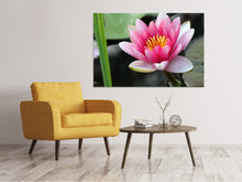 Load image into Gallery viewer, Canvas print The water lily in pink
