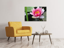 Load image into Gallery viewer, Canvas print The water lily in pink