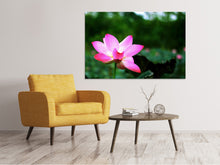 Load image into Gallery viewer, Canvas print Lotus in nature