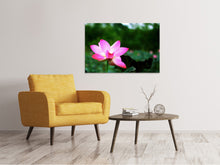 Load image into Gallery viewer, Canvas print Lotus in nature