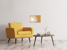 Load image into Gallery viewer, Canvas print White orchids XL