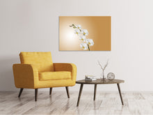 Load image into Gallery viewer, Canvas print White orchids XL