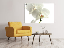 Load image into Gallery viewer, Canvas print Orchids bloom