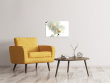Load image into Gallery viewer, Canvas print Orchids bloom