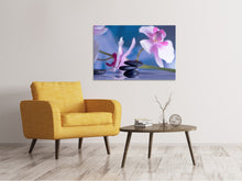 Load image into Gallery viewer, Canvas print Hot Stones