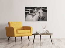 Load image into Gallery viewer, Canvas print There is a horse