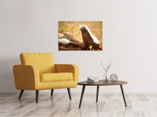 Load image into Gallery viewer, Canvas print The sleeping horse